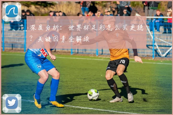 深度分析：世界杯足彩怎么买更稳？关键因素全解读