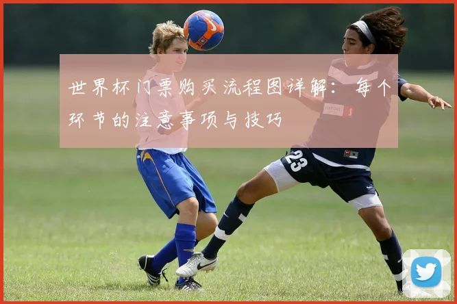 世界杯门票购买流程图详解：每个环节的注意事项与技巧