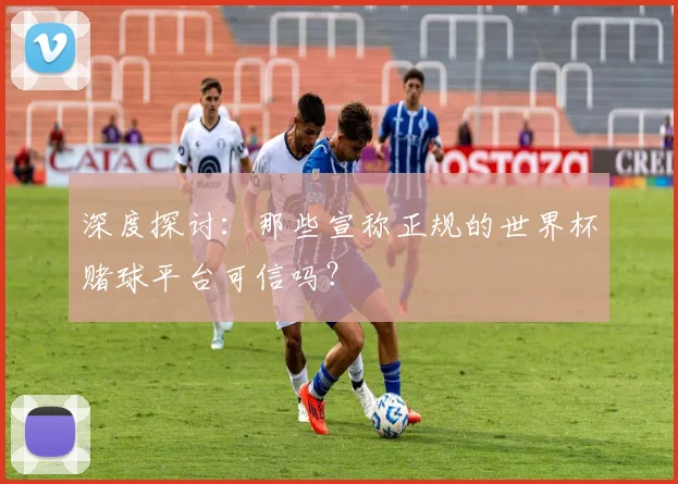 深度探讨：那些宣称正规的世界杯赌球平台可信吗？