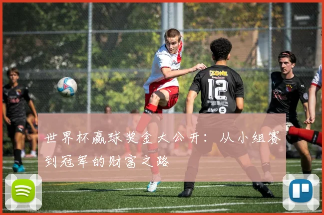 世界杯赢球奖金大公开:从小组赛到冠军的财富之路