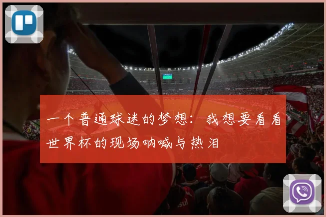一个普通球迷的梦想：我想要看看世界杯的现场呐喊与热泪