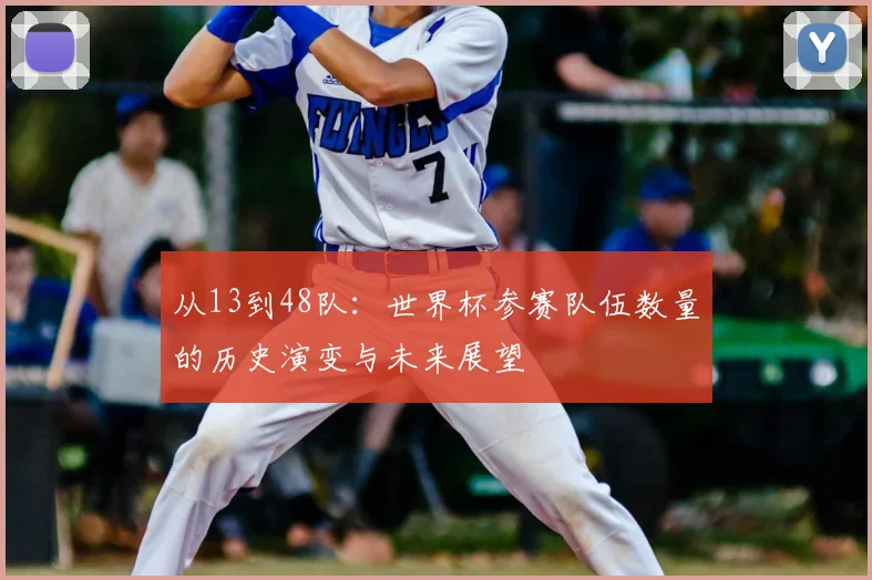 从13到48队：世界杯参赛队伍数量的历史演变与未来展望