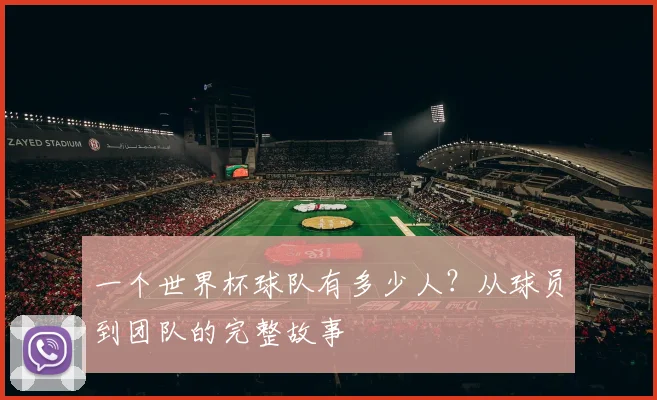 一个世界杯球队有多少人？从球员到团队的完整故事