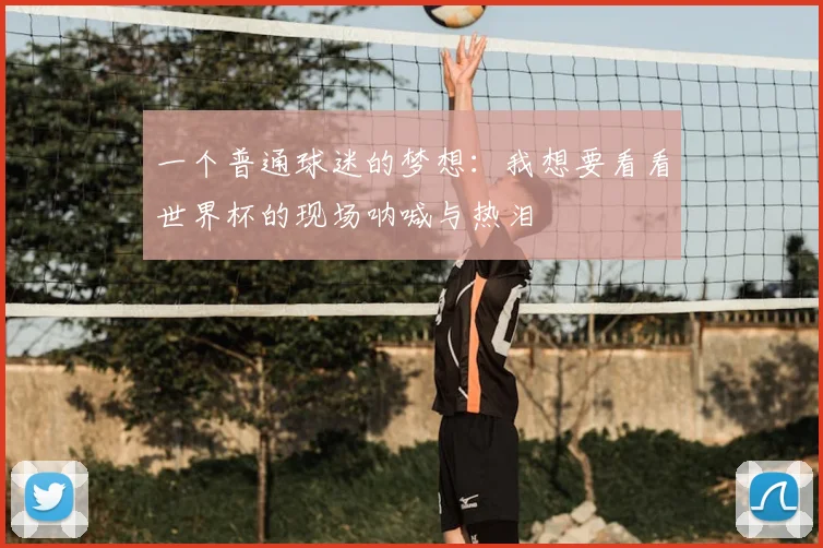 一个普通球迷的梦想：我想要看看世界杯的现场呐喊与热泪