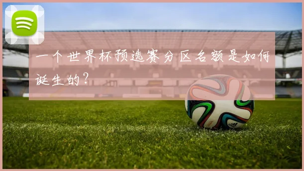 一个世界杯预选赛分区名额是如何诞生的？