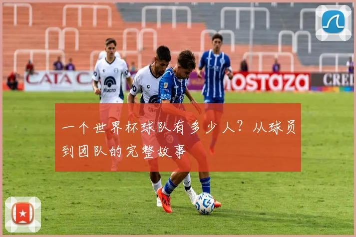 一个世界杯球队有多少人？从球员到团队的完整故事