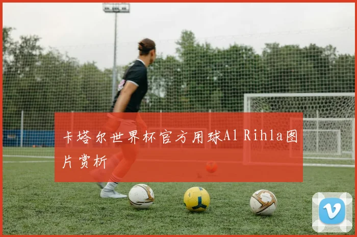 卡塔尔世界杯官方用球Al Rihla图片赏析